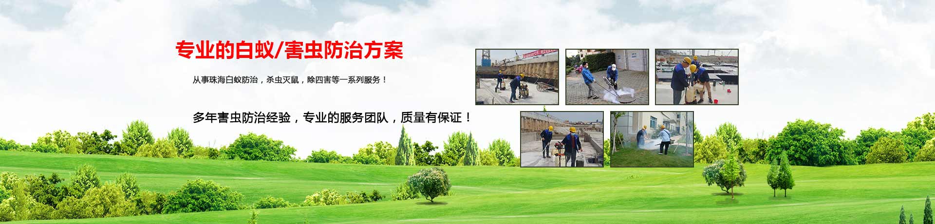 白蚁防治