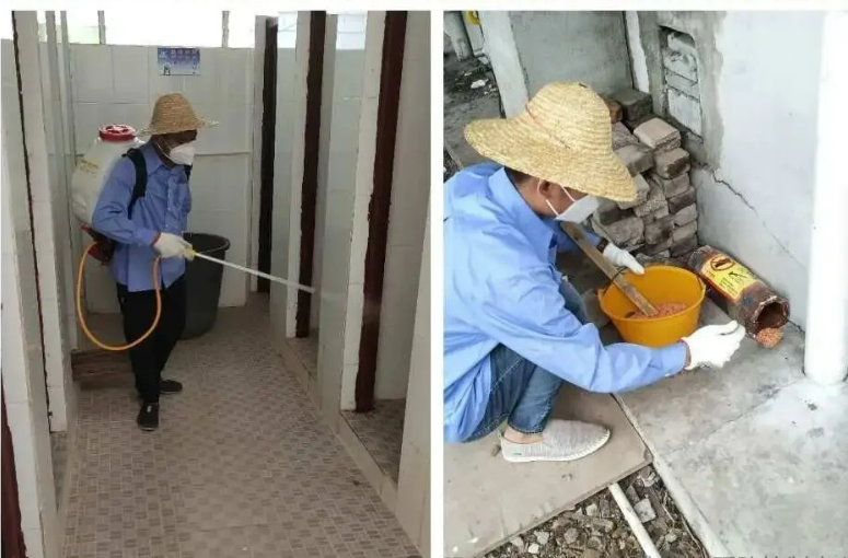 学校有害生物防治